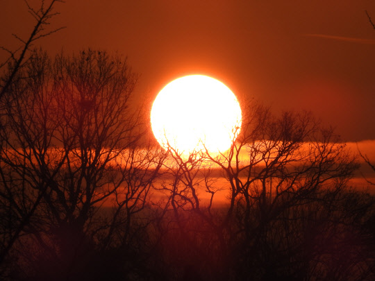 올해 낮이 가장 짧은 동지를 하루 앞둔 20일 서울시 종로구 창덕궁 쪽에서 태양이 구름 위로 떠오르고 있다. 기상청은 이날 전국에 가끔 구름이 많고 대부분 지역에 안개가 짙게 끼는 곳이 많을 것으로 예상했다.